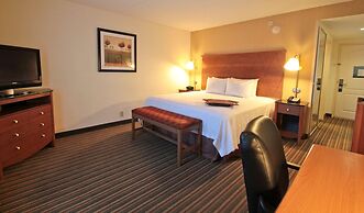 Hampton Inn Hampton-Newport News