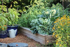 Williamsburg Manor B&B