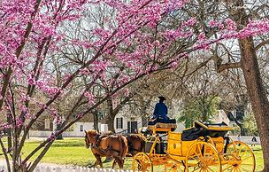 Williamsburg Manor B&B