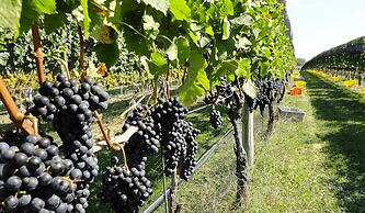 Williamsburg Manor B&B