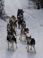 Bitterroot River B&B