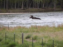 Bitterroot River B&B