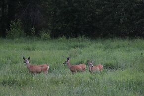 Bitterroot River B&B