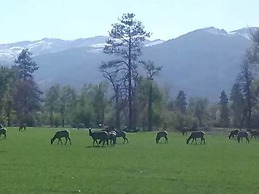 Bitterroot River B&B