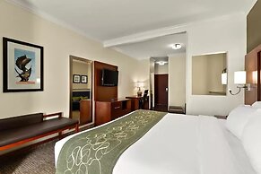 Comfort Suites Central