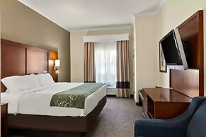 Comfort Suites Central