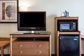 Hampton Inn Petersburg-Southpark Mall