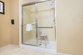 Hampton Inn Petersburg-Southpark Mall