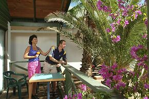 Desert Palms Alice Springs