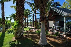 Desert Palms Alice Springs