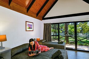 Desert Palms Alice Springs