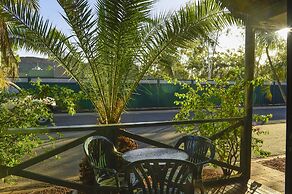 Desert Palms Alice Springs