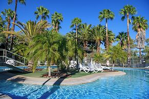 Desert Palms Alice Springs