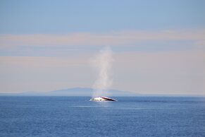 La Mision Loreto Hotel