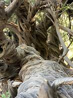 La Mision Loreto Hotel