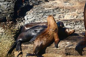 La Mision Loreto Hotel