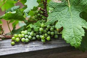 Wine Country Inn Palisade