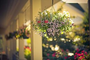 Wine Country Inn Palisade