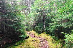 Comfort Inn & Suites Wilton