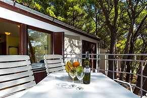 Sagitta All inclusive light