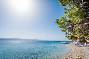 Sagitta All inclusive light