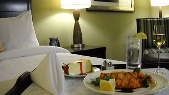 Hilton Garden Inn Houston-Pearland