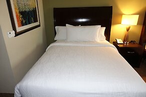 Hilton Garden Inn Houston-Pearland