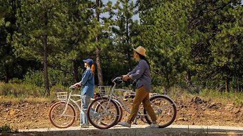 Trailborn Rocky Mountains