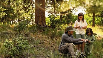 Trailborn Rocky Mountains