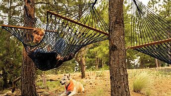 Trailborn Rocky Mountains