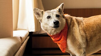 Trailborn Rocky Mountains