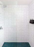 Trailborn Rocky Mountains