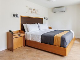 Trailborn Rocky Mountains