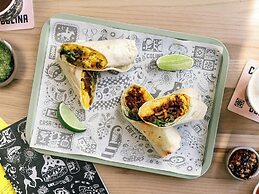 Trailborn Rocky Mountains