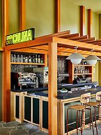 Trailborn Rocky Mountains