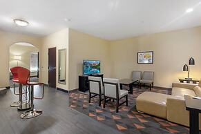 Holiday Inn Hotel & Suites Waco Northwest by IHG