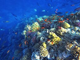 Kempinski Hotel Soma Bay