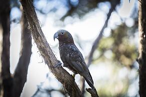 Rosewood Cape Kidnappers