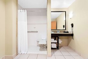 Comfort Suites Tampa Airport North