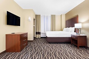 Comfort Suites Tampa Airport North