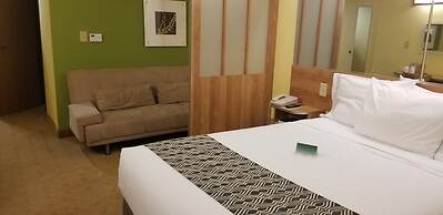 Microtel Inn & Suites by Wyndham Delphos