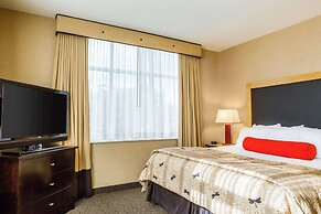 Cambria Hotel Raleigh - Durham Airport