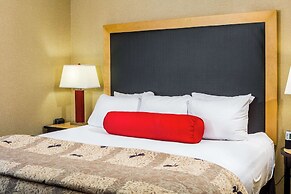 Cambria Hotel Raleigh - Durham Airport