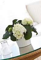 Buchholz Downtown Hotel