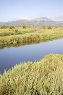 Apartamentos Siesta I