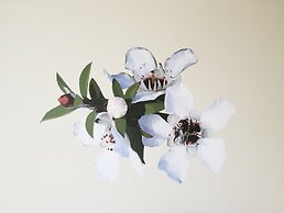 Alpine Lake Motor Lodge