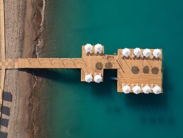 Paloma Grida - All Inclusive