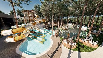 Paloma Grida - All Inclusive