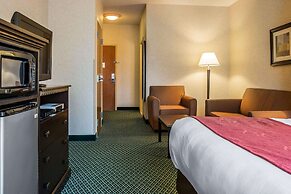 Comfort Suites Canton - Detroit