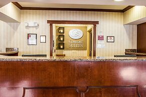 Comfort Suites Canton - Detroit